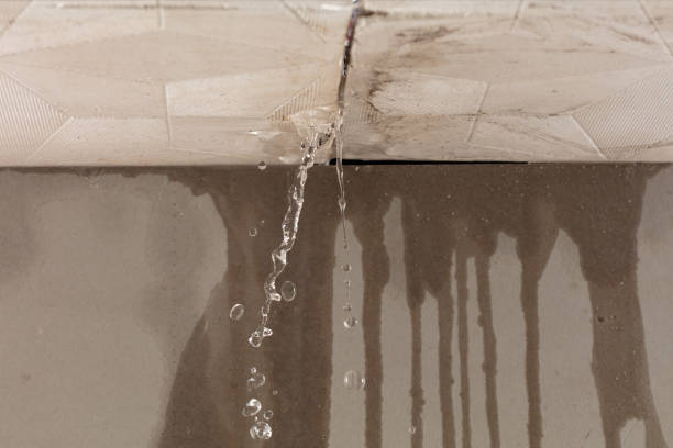 Professional Water Extraction technician working in Columbus, MN